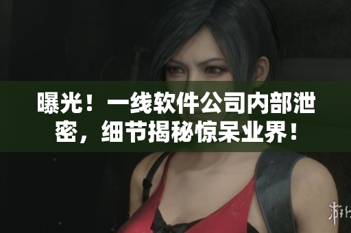 曝光！一線軟件公司內(nèi)部泄密，細節(jié)揭秘驚呆業(yè)界！