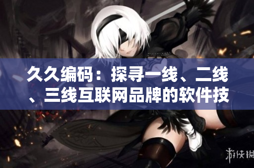 久久編碼：探尋一線、二線、三線互聯(lián)網(wǎng)品牌的軟件技術之路