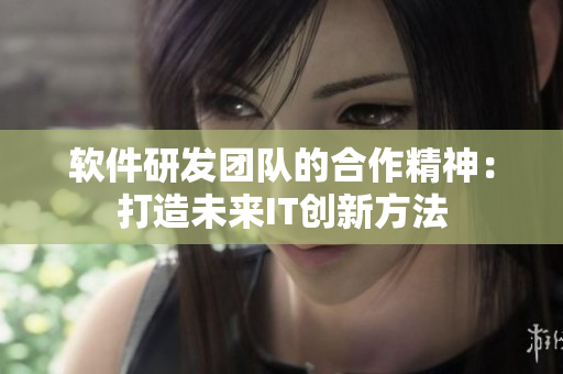 軟件研發(fā)團(tuán)隊(duì)的合作精神：打造未來(lái)IT創(chuàng)新方法