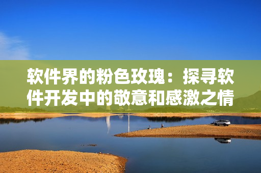 軟件界的粉色玫瑰：探尋軟件開(kāi)發(fā)中的敬意和感激之情
