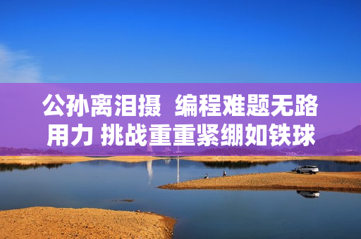 公孫離淚攝  編程難題無(wú)路用力 挑戰(zhàn)重重緊繃如鐵球