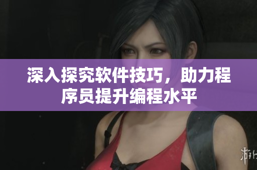 深入探究軟件技巧，助力程序員提升編程水平