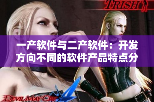一產(chǎn)軟件與二產(chǎn)軟件：開(kāi)發(fā)方向不同的軟件產(chǎn)品特點(diǎn)分析