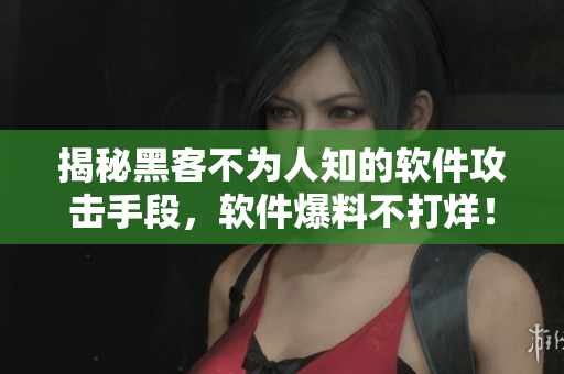 揭秘黑客不為人知的軟件攻擊手段，軟件爆料不打烊！