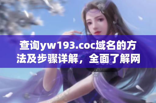 查詢yw193.coc域名的方法及步驟詳解，全面了解網(wǎng)絡(luò)域名解析原理