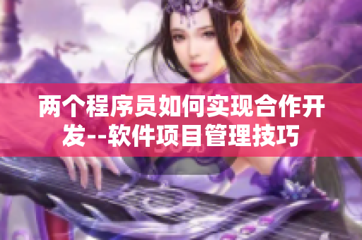 兩個(gè)程序員如何實(shí)現(xiàn)合作開發(fā)--軟件項(xiàng)目管理技巧