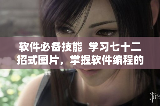 軟件必備技能  學習七十二招式圖片，掌握軟件編程的關鍵技巧