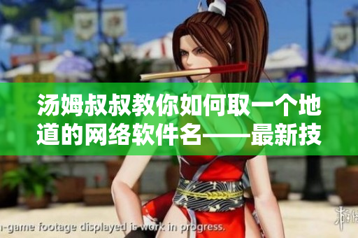 湯姆叔叔教你如何取一個(gè)地道的網(wǎng)絡(luò)軟件名——最新技巧分享