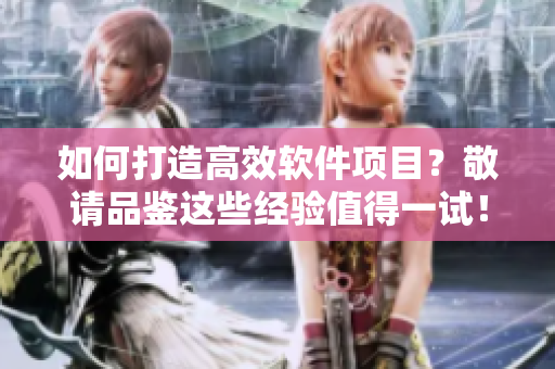 如何打造高效軟件項(xiàng)目？敬請(qǐng)品鑒這些經(jīng)驗(yàn)值得一試！