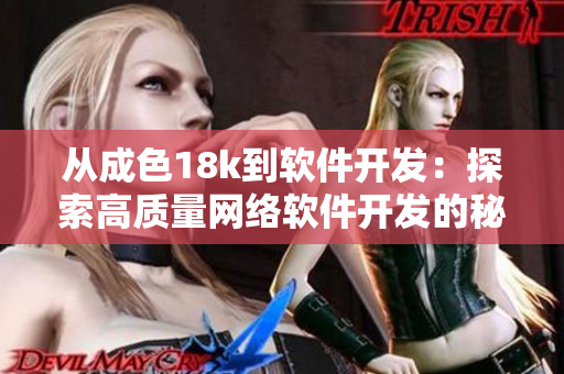 從成色18k到軟件開發(fā)：探索高質(zhì)量網(wǎng)絡(luò)軟件開發(fā)的秘訣