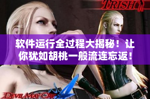 軟件運(yùn)行全過(guò)程大揭秘！讓你猶如胡桃一般流連忘返！