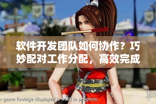 軟件開發(fā)團(tuán)隊(duì)如何協(xié)作？巧妙配對(duì)工作分配，高效完成項(xiàng)目。