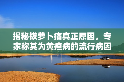 揭秘拔蘿卜痛真正原因，專家稱其為黃疸病的流行病因