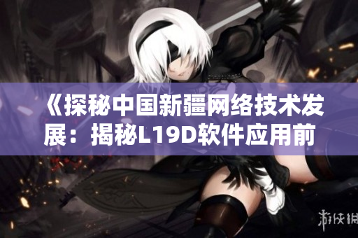 《探秘中國(guó)新疆網(wǎng)絡(luò)技術(shù)發(fā)展：揭秘L19D軟件應(yīng)用前景》