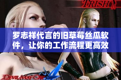 羅志祥代言的舊草莓絲瓜軟件，讓你的工作流程更高效快捷