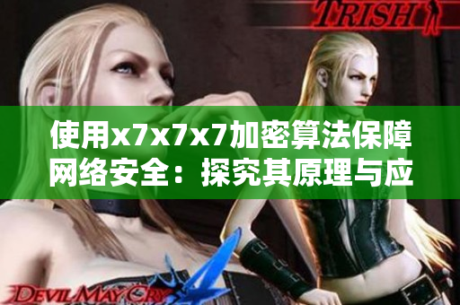 使用x7x7x7加密算法保障網(wǎng)絡(luò)安全：探究其原理與應(yīng)用