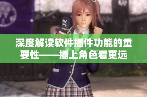 深度解讀軟件插件功能的重要性——插上角色看更遠