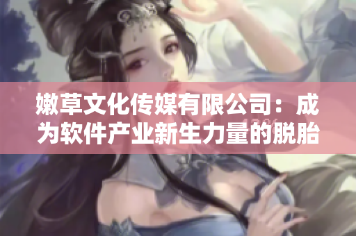 嫩草文化傳媒有限公司：成為軟件產(chǎn)業(yè)新生力量的脫胎換骨！