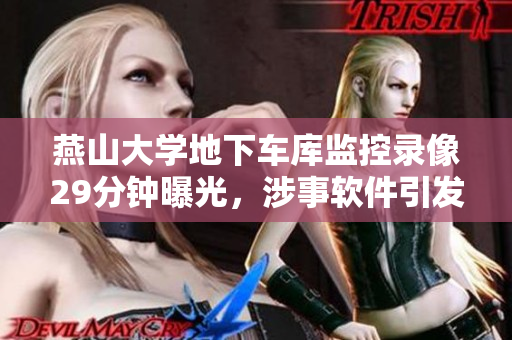 燕山大學(xué)地下車庫監(jiān)控錄像29分鐘曝光，涉事軟件引發(fā)關(guān)注