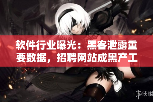 軟件行業(yè)曝光：黑客泄露重要數(shù)據(jù)，招聘網(wǎng)站成黑產(chǎn)工具！