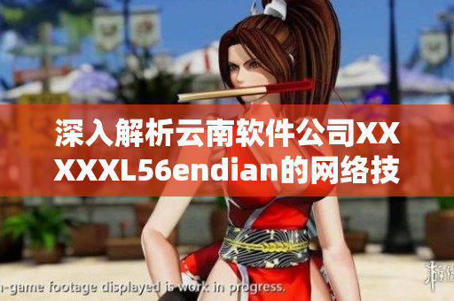 深入解析云南軟件公司XXXXXL56endian的網(wǎng)絡(luò)技術(shù)與創(chuàng)新戰(zhàn)略