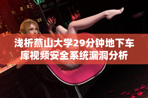 淺析燕山大學(xué)29分鐘地下車(chē)庫(kù)視頻安全系統(tǒng)漏洞分析