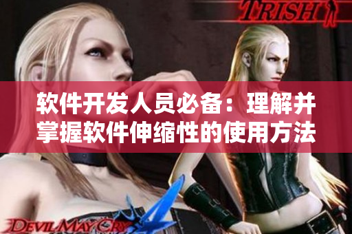 軟件開發(fā)人員必備：理解并掌握軟件伸縮性的使用方法