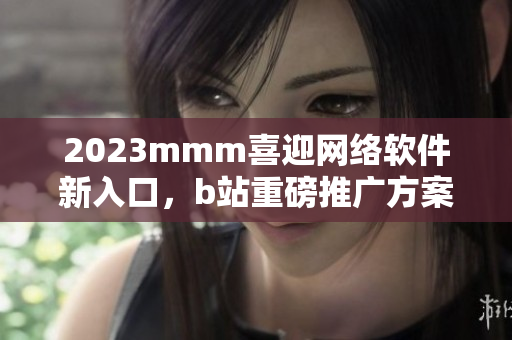 2023mmm喜迎網(wǎng)絡(luò)軟件新入口，b站重磅推廣方案曝光！