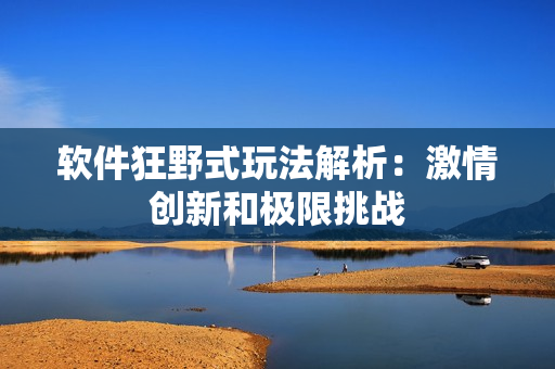 軟件狂野式玩法解析：激情創(chuàng)新和極限挑戰(zhàn)