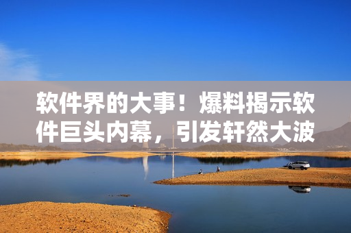 軟件界的大事！爆料揭示軟件巨頭內(nèi)幕，引發(fā)軒然大波！