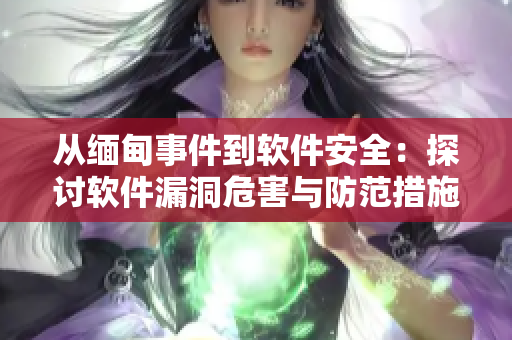 從緬甸事件到軟件安全：探討軟件漏洞危害與防范措施