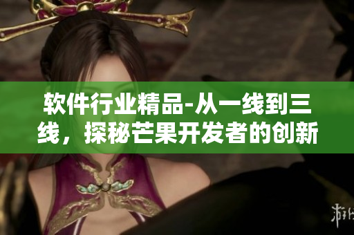 軟件行業(yè)精品-從一線到三線，探秘芒果開發(fā)者的創(chuàng)新之路