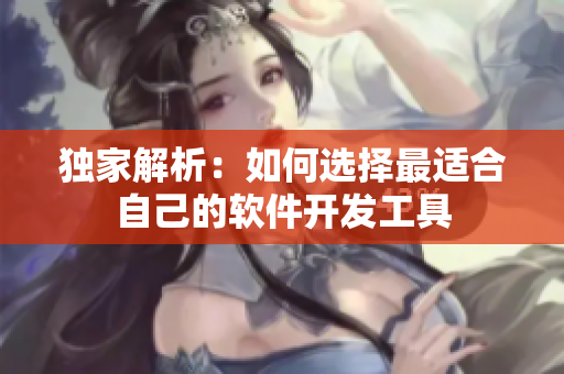 獨(dú)家解析：如何選擇最適合自己的軟件開(kāi)發(fā)工具