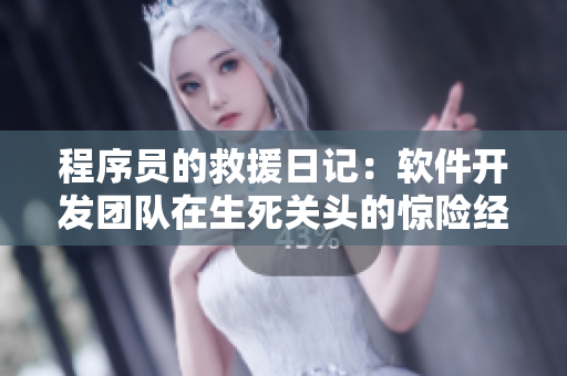 程序員的救援日記：軟件開(kāi)發(fā)團(tuán)隊(duì)在生死關(guān)頭的驚險(xiǎn)經(jīng)歷