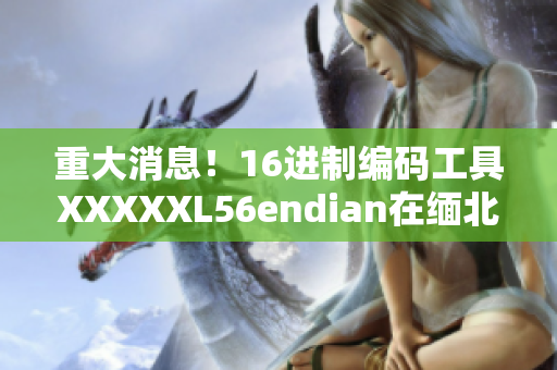 重大消息！16進(jìn)制編碼工具XXXXXL56endian在緬北被大規(guī)模采用
