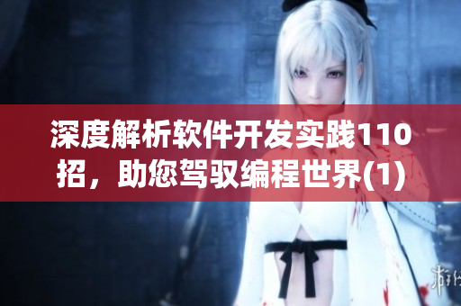深度解析軟件開發(fā)實踐110招，助您駕馭編程世界(1)