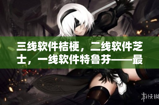 三線軟件桔梗，二線軟件芝士，一線軟件特魯芬——最全面的網(wǎng)絡(luò)軟件排行榜