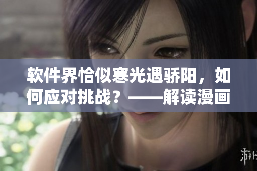 軟件界恰似寒光遇驕陽，如何應(yīng)對(duì)挑戰(zhàn)？——解讀漫畫下拉式六52話