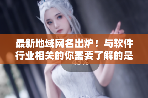 最新地域網名出爐！與軟件行業(yè)相關的你需要了解的是什么？