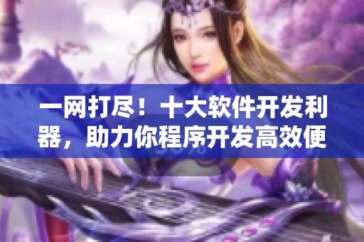 一網(wǎng)打盡！十大軟件開發(fā)利器，助力你程序開發(fā)高效便捷