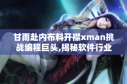 甘雨赴內(nèi)布料開(kāi)襟xman挑戰(zhàn)編程巨頭,揭秘軟件行業(yè)新秩序