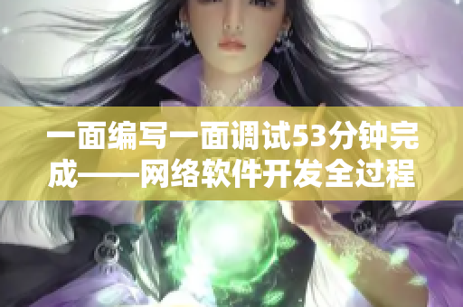 一面編寫一面調(diào)試53分鐘完成——網(wǎng)絡(luò)軟件開發(fā)全過程解析
