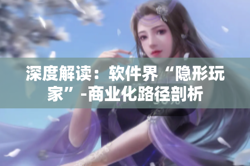 深度解讀：軟件界“隱形玩家”-商業(yè)化路徑剖析