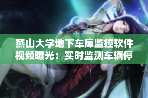燕山大學(xué)地下車庫監(jiān)控軟件視頻曝光：實時監(jiān)測車輛停靠情況!