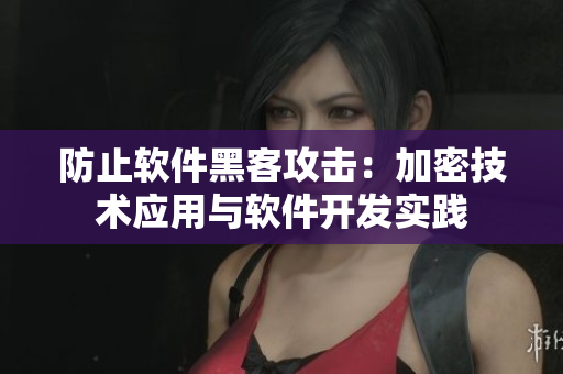 防止軟件黑客攻擊：加密技術(shù)應(yīng)用與軟件開發(fā)實(shí)踐