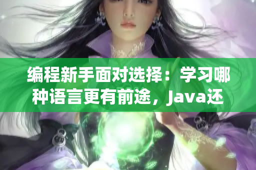 編程新手面對(duì)選擇：學(xué)習(xí)哪種語(yǔ)言更有前途，Java還是Python？