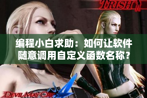 編程小白求助：如何讓軟件隨意調(diào)用自定義函數(shù)名稱？