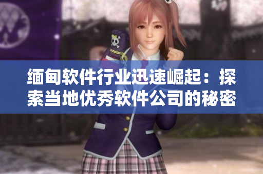 緬甸軟件行業(yè)迅速崛起：探索當?shù)貎?yōu)秀軟件公司的秘密
