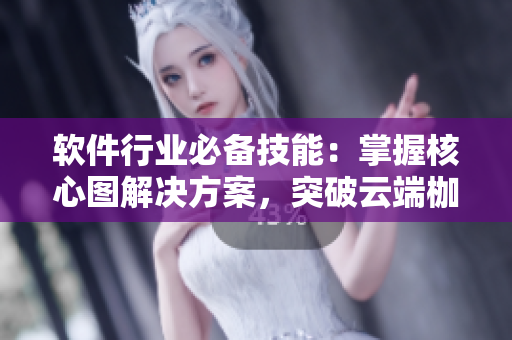 軟件行業(yè)必備技能：掌握核心圖解決方案，突破云端枷鎖