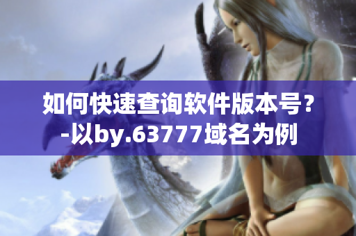如何快速查詢軟件版本號(hào)？-以by.63777域名為例